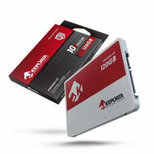 SSD  120GB KEEPDATA KDS120G-L21  X