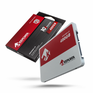 SSD  480GB KEEPDATA KDS480G-L21 X